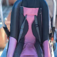 کریر و کالسکه به همراه سایه بان و تشک اضافی