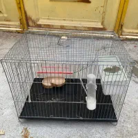 قفس پرنده،فنچ،بلبل،مرغ عشق