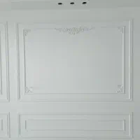 استخدام نیروی پتینه کار