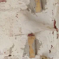 سفید چش سفید