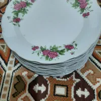 میوه خوری گل سرخ