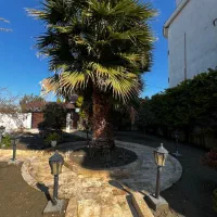 اجاره ویلاخفن۷۰۰ متری دوبلکس (خانم الهی)|اجارهٔ خانه و ویلا|رویان, |دیوار