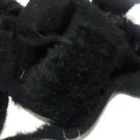 لایکو  تیکه های خز نو