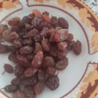 کشمش آفتابی وپاک شده
