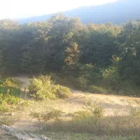 هدیه میلی|کارت هدیه و تخفیف|اصفهان, شاهد|دیوار