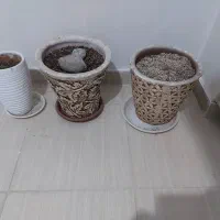 گلدان سفالی و پلاستیکی