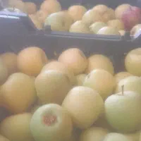 خرید سیب درجه ۲و ۳ در محل بصورت نقدی
