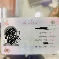مدارک گمشده به نام ابوالفضل پنجه شاهی