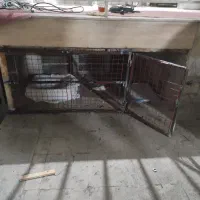 لوله کشی و تعمیرات پکیج آبگرمکن پمپ جوشکاری|خدمات پیشه و مهارت|فردیس, فردیس|دیوار