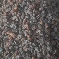 کشمش بیدانه