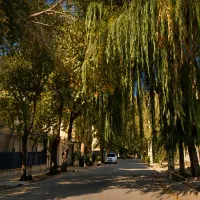 500-متر-زمین-فاز-2