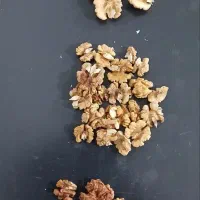 مغز گردو تازه