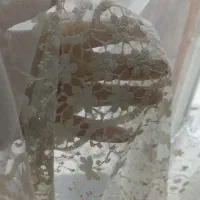 پرده|پرده، رانر، رومیزی|برخوار, |دیوار