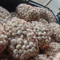 پیاز سفید محلی درجه 1|خوردنی و آشامیدنی|تربتحیدریه, کلاته توکلی|دیوار