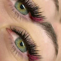 نیازمند به مژه کار با سابقه
