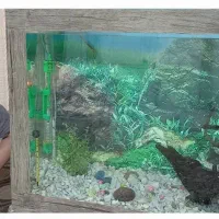 اکواریوم سفارشی ساز