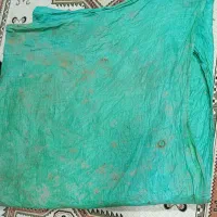 باغبند گمشده