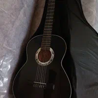 گیتار دیاموند به همراه کاور و پیک