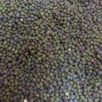 روغن خالص گوسفندی|خوردنی و آشامیدنی|یزد, |دیوار