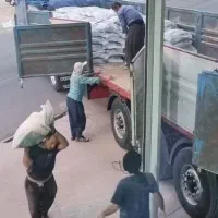 کود  کامل  مخصوص کشت گندم