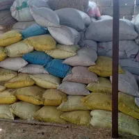 کاه‌یونجه‌خرد‌شده|خدمات باغبانی و درختکاری|جیرفت, |دیوار