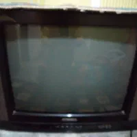 تلویزیون|تلویزیون و پروژکتور|کرمان, |دیوار