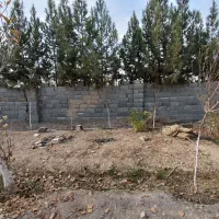 باغ استسنایی|فروش زمین و ملک کلنگی|اسلام‌شهر, کاشانک|دیوار