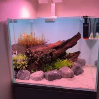 نور آکواریوم z200 pro week aqua