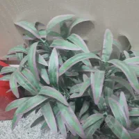 فروش دو گلدان گل مصنوعی|گل مصنوعی|تبریز, |دیوار