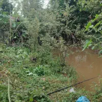 فروش زمین ۲۰۰ متری