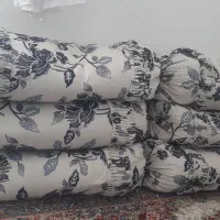 برگ پالشت دورنگ