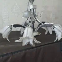 یک جفت لوستر سالم