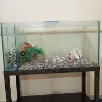 آکواریوم 1در 40 با پایه و وسایل تزئنی و جانبی