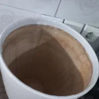 گلدان|گل و گیاه طبیعی|سمنان, |دیوار