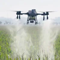 سم پاشی با پهپاد در جیرفت و حومه|خدمات باغبانی و درختکاری|کرمان, |دیوار