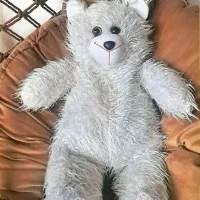 خرس بزرگ