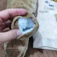 ست کاپشن و شلوار اسپرت نوزاد|لباس|یزد, |دیوار