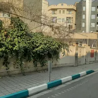 (مزایده ) قیطریه ۳۴۲ متر کلنگی بر ۴۰ (مزایده )|فروش زمین و ملک کلنگی|تهران, قیطریه|دیوار