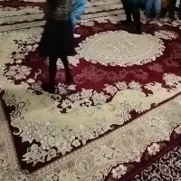 دو عدد فرش ۱۲ متری|فرش|خزل, |دیوار