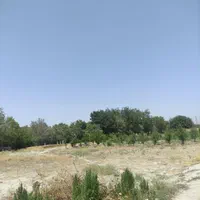 زمین داخل بافت تنکمان|فروش زمین و ملک کلنگی|تنکمان, |دیوار