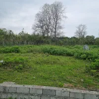 زمین ۳۰۰متری /آپارتمان سازی/مهستان