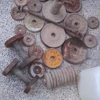 دنبل و هالتر