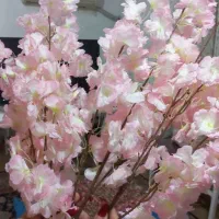 شکوفه گل مصنوعی|گل مصنوعی|بندر انزلی, ساحل قو|دیوار