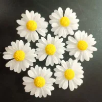 گیفت|صنایع دستی و سایر لوازم تزئینی|شیراز, شهرک رضوان|دیوار