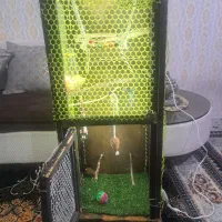 قفس چوبی