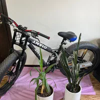 دوچرخه ساحلی لاستیک پهن نونوکلکسیونی
