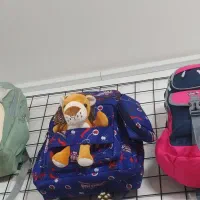 کیف ،کوله مدارس برای هر سنی عمده و خرده|کیف، کفش، کمربند|میاندوآب, |دیوار