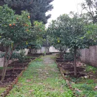 ویلا-باغ-با-سند-ششدانگ