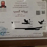 قالیشویی ومبل شویی مجازگلاب