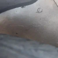 132|خودرو سواری و وانت|بیرجند, |دیوار